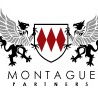 Montague Partners - Accountants Sydney