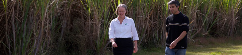 Brooms Head NSW Accountants Sydney