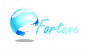 Fortune Wealth Creation Group - Accountants Sydney 0