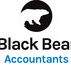 Black Bear Accountants - Accountants Sydney