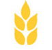 Gibson  Co - Accountants Sydney
