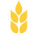 Gibson & Co - Accountants Sydney 0