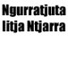 Ngurratjuta Iltja Ntjarra Art Centre - Accountants Sydney 0