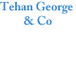 Tehan George  Co - Accountants Sydney