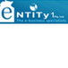 Entity 1 Pty Ltd - Accountants Sydney 0