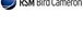 RSM Bird Cameron - thumb 0