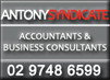 Antony Syndicate - Accountants Sydney 0