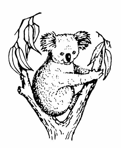 Koala Accounting & Taxation - Accountants Sydney 9