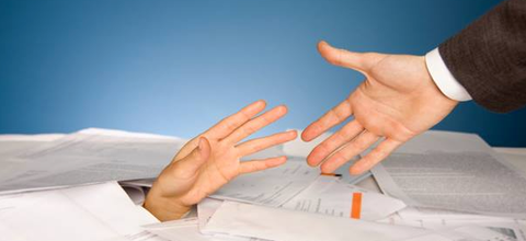 Bizinsights Pty Ltd - Accountants Sydney 4