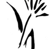 Bloomfield  Associates - Accountants Sydney