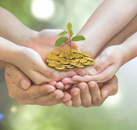 MacDonald Alec Accountant - Accountants Sydney
